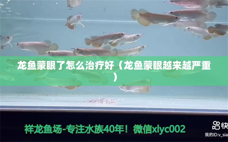 龍魚蒙眼了怎么治療好（龍魚蒙眼越來越嚴(yán)重）