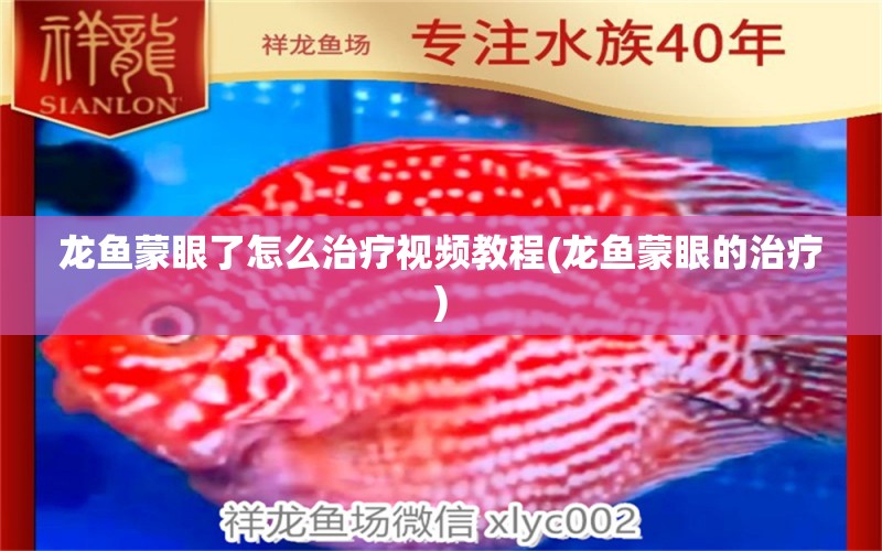 龍魚蒙眼了怎么治療視頻教程(龍魚蒙眼的治療) 魚缸等水族設(shè)備