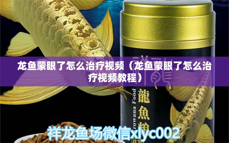 龍魚蒙眼了怎么治療視頻（龍魚蒙眼了怎么治療視頻教程） 廣州龍魚批發(fā)市場