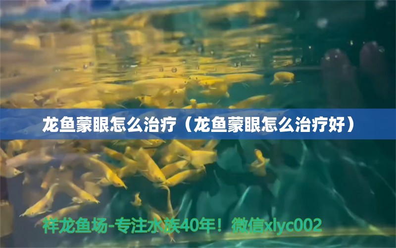 龍魚蒙眼怎么治療（龍魚蒙眼怎么治療好） 廣州龍魚批發(fā)市場