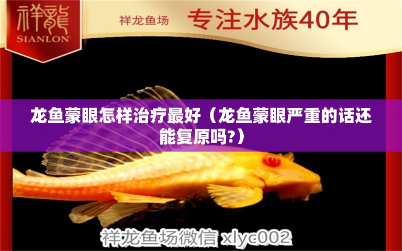 龍魚蒙眼怎樣治療最好（龍魚蒙眼嚴(yán)重的話還能復(fù)原嗎?）