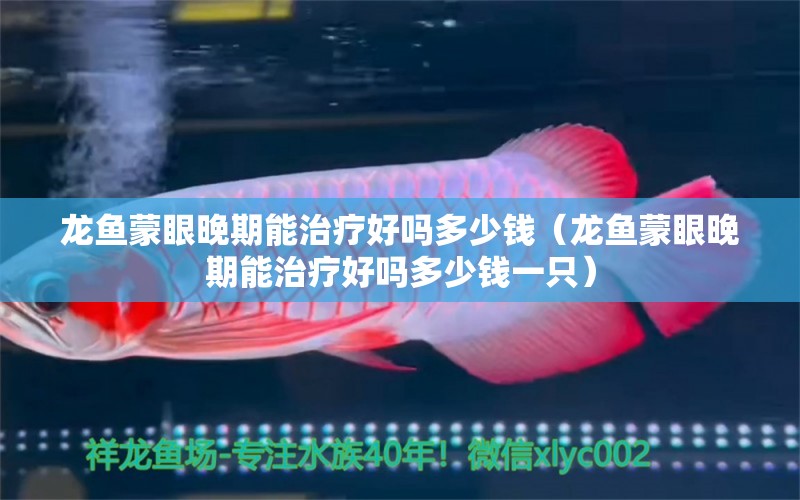 龍魚蒙眼晚期能治療好嗎多少錢（龍魚蒙眼晚期能治療好嗎多少錢一只） 廣州龍魚批發(fā)市場