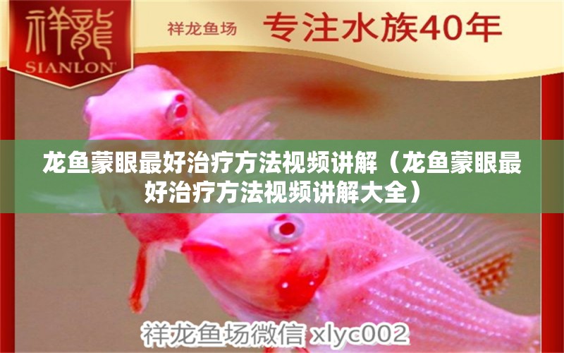 龍魚蒙眼最好治療方法視頻講解（龍魚蒙眼最好治療方法視頻講解大全）