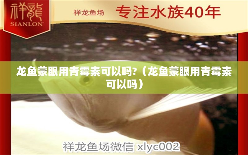 龍魚(yú)蒙眼用青霉素可以嗎?（龍魚(yú)蒙眼用青霉素可以嗎） 廣州龍魚(yú)批發(fā)市場(chǎng)