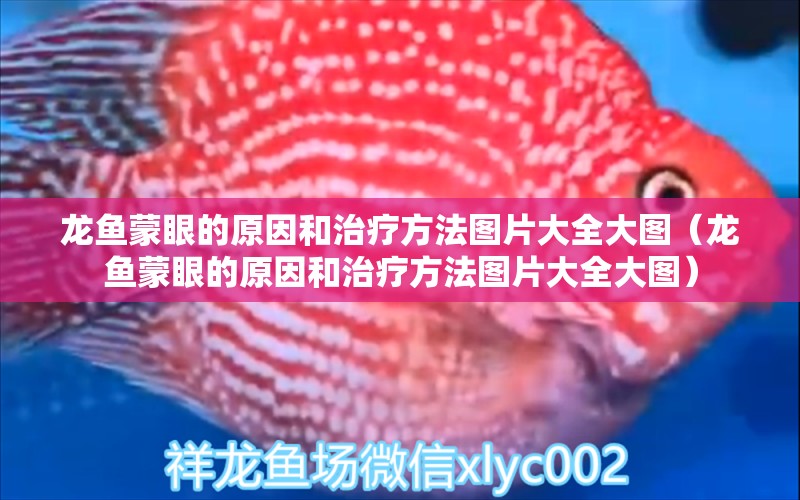 龍魚蒙眼的原因和治療方法圖片大全大圖（龍魚蒙眼的原因和治療方法圖片大全大圖）