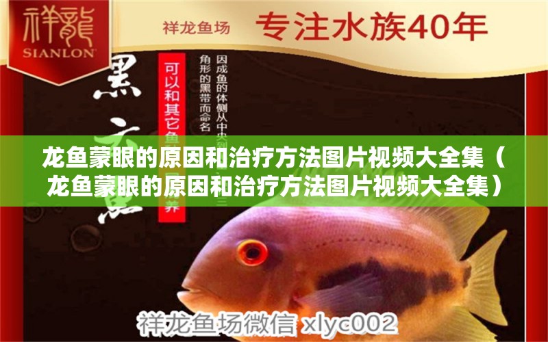 龍魚蒙眼的原因和治療方法圖片視頻大全集（龍魚蒙眼的原因和治療方法圖片視頻大全集）