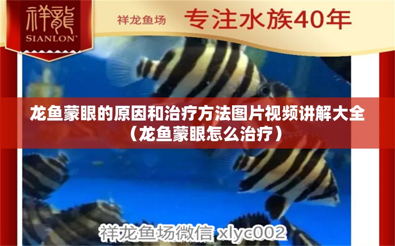 龍魚蒙眼的原因和治療方法圖片視頻講解大全（龍魚蒙眼怎么治療）