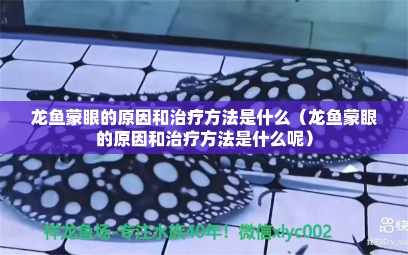 龍魚蒙眼的原因和治療方法是什么（龍魚蒙眼的原因和治療方法是什么呢）