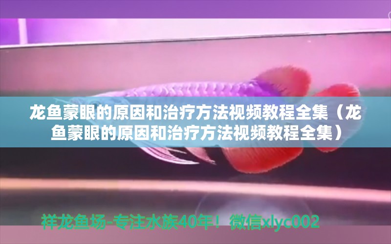 龍魚蒙眼的原因和治療方法視頻教程全集（龍魚蒙眼的原因和治療方法視頻教程全集）