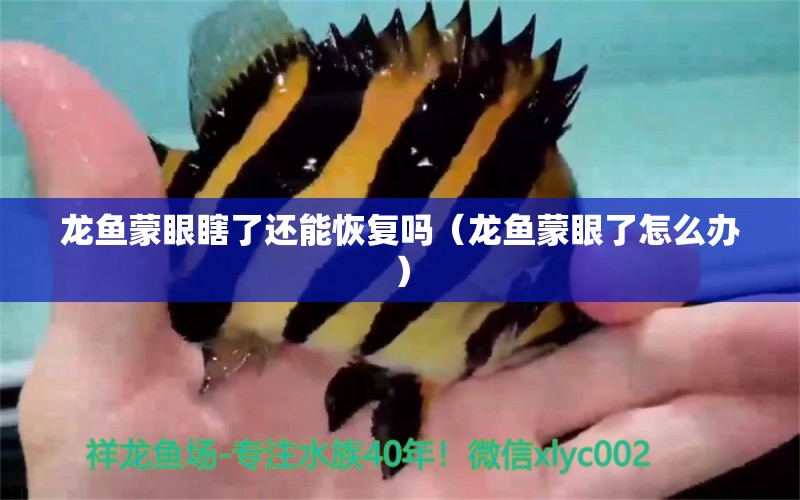 龍魚蒙眼瞎了還能恢復(fù)嗎（龍魚蒙眼了怎么辦）