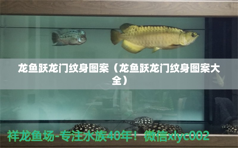 龍魚躍龍門紋身圖案（龍魚躍龍門紋身圖案大全）