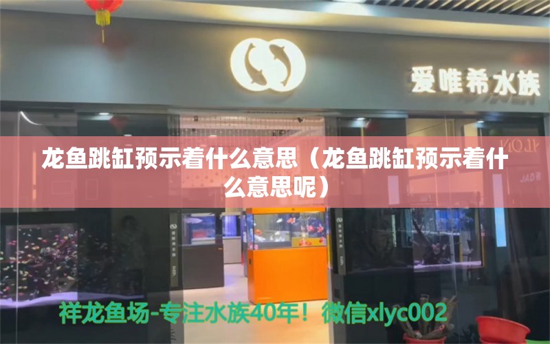 龍魚跳缸預示著什么意思（龍魚跳缸預示著什么意思呢） 廣州龍魚批發(fā)市場