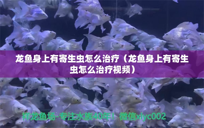 龍魚身上有寄生蟲怎么治療（龍魚身上有寄生蟲怎么治療視頻） 龍魚疾病與治療