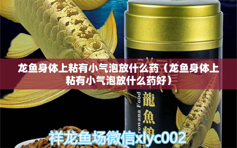 龍魚身體上粘有小氣泡放什么藥（龍魚身體上粘有小氣泡放什么藥好）