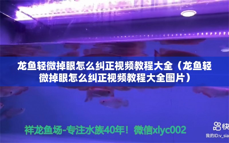 龍魚輕微掉眼怎么糾正視頻教程大全（龍魚輕微掉眼怎么糾正視頻教程大全圖片）