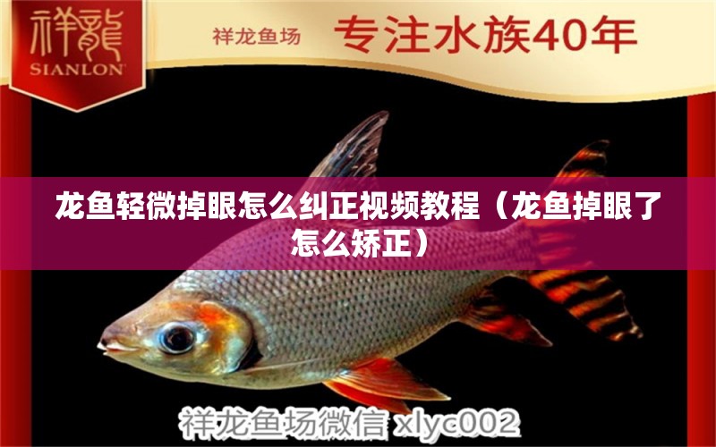 龍魚輕微掉眼怎么糾正視頻教程（龍魚掉眼了怎么矯正）