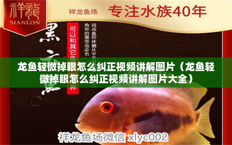 龍魚輕微掉眼怎么糾正視頻講解圖片（龍魚輕微掉眼怎么糾正視頻講解圖片大全）