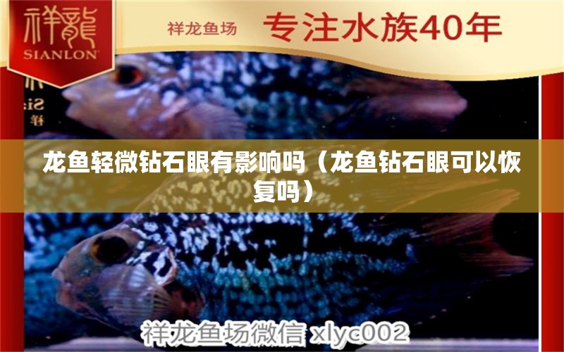 龍魚輕微鉆石眼有影響嗎（龍魚鉆石眼可以恢復嗎）