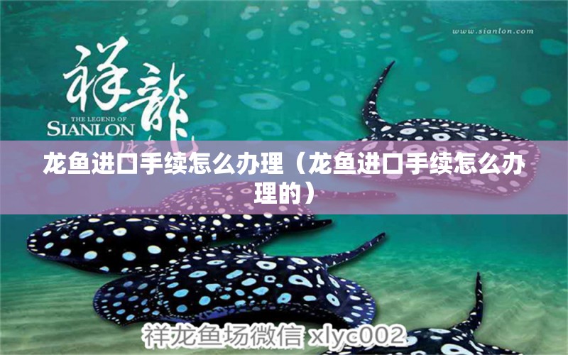 龍魚進(jìn)口手續(xù)怎么辦理（龍魚進(jìn)口手續(xù)怎么辦理的）