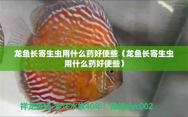 龍魚長(zhǎng)寄生蟲用什么藥好使些（龍魚長(zhǎng)寄生蟲用什么藥好使些） 龍魚疾病與治療