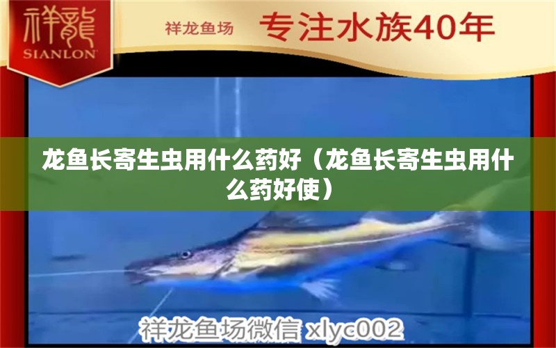 龍魚長寄生蟲用什么藥好（龍魚長寄生蟲用什么藥好使）