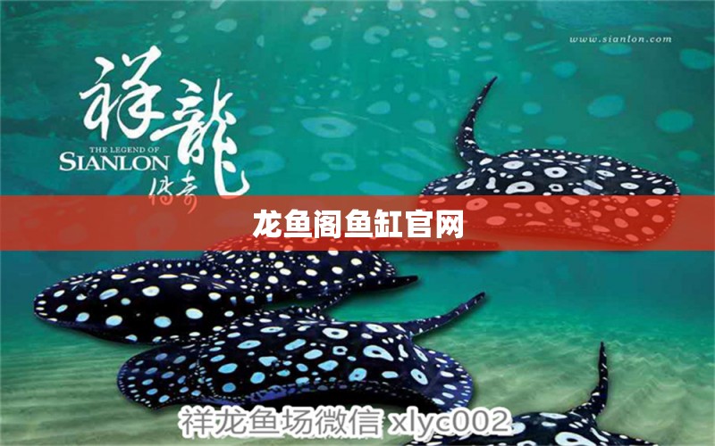 龍魚閣魚缸官網(wǎng) 龍魚百科 第2張