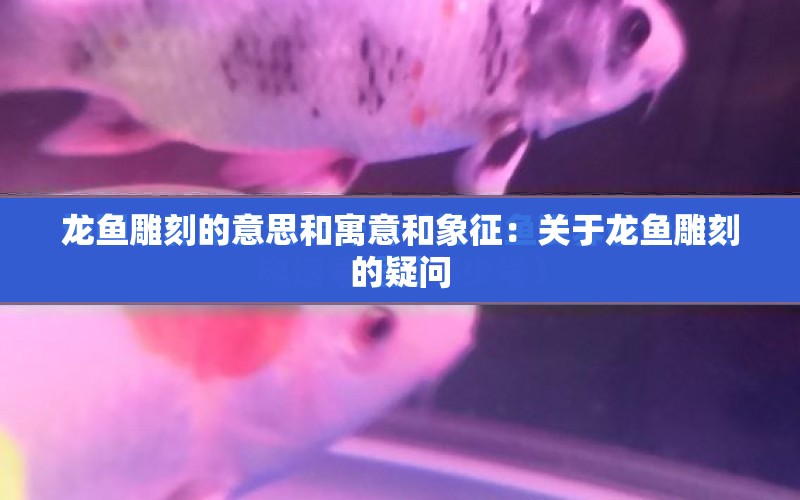 龍魚雕刻的意思和寓意和象征：關(guān)于龍魚雕刻的疑問 水族問答 第1張