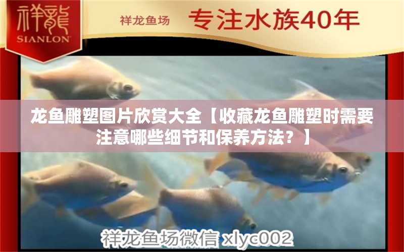 龍魚(yú)雕塑圖片欣賞大全【收藏龍魚(yú)雕塑時(shí)需要注意哪些細(xì)節(jié)和保養(yǎng)方法？】