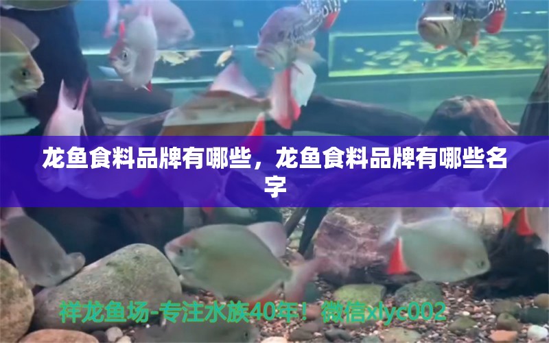 龍魚食料品牌有哪些，龍魚食料品牌有哪些名字