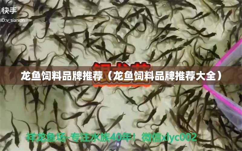 龍魚飼料品牌推薦（龍魚飼料品牌推薦大全）