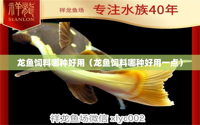 龍魚(yú)飼料哪種好用（龍魚(yú)飼料哪種好用一點(diǎn)）