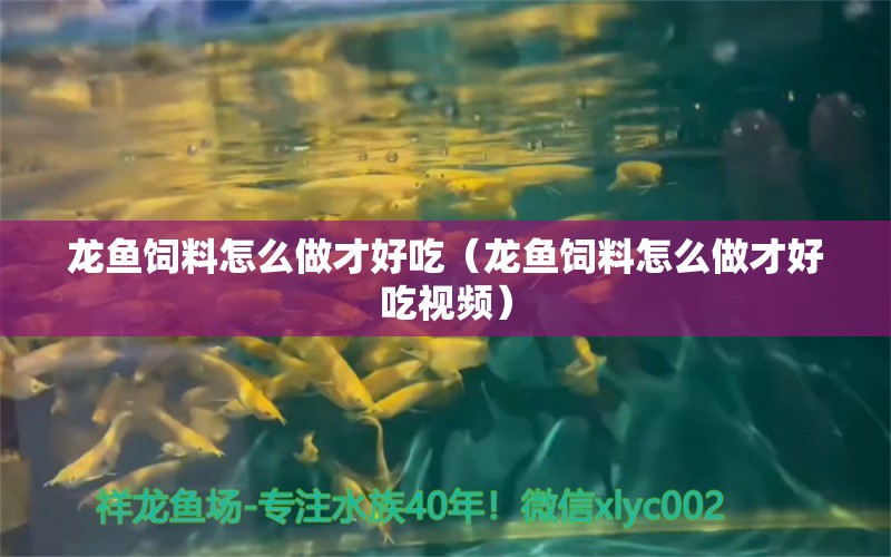 龍魚飼料怎么做才好吃（龍魚飼料怎么做才好吃視頻） 廣州龍魚批發(fā)市場