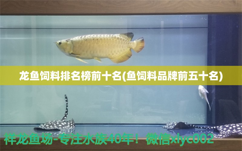 龍魚飼料排名榜前十名(魚飼料品牌前五十名)