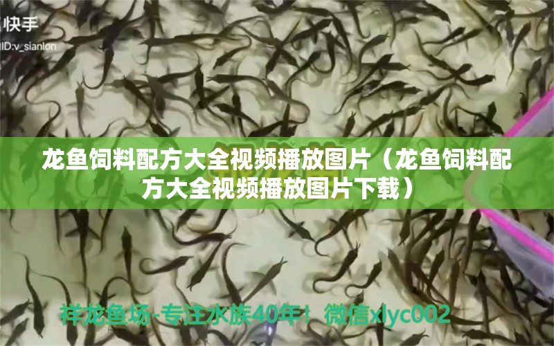 龍魚飼料配方大全視頻播放圖片（龍魚飼料配方大全視頻播放圖片下載）