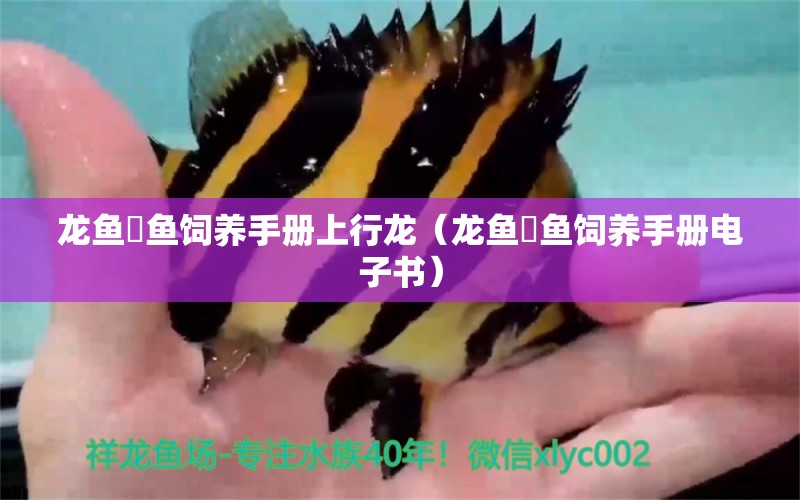 龍魚魟魚飼養(yǎng)手冊(cè)上行龍（龍魚魟魚飼養(yǎng)手冊(cè)電子書） 廣州龍魚批發(fā)市場(chǎng)