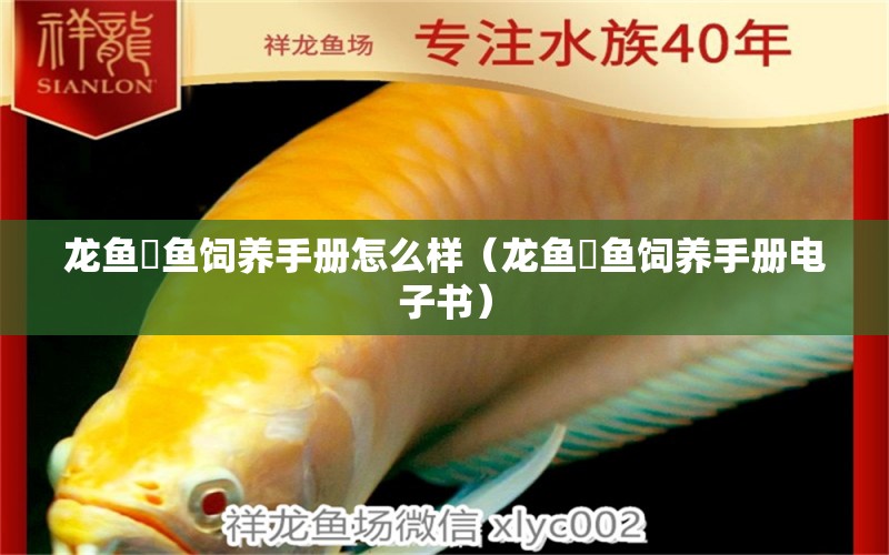 龍魚魟魚飼養(yǎng)手冊(cè)怎么樣（龍魚魟魚飼養(yǎng)手冊(cè)電子書）