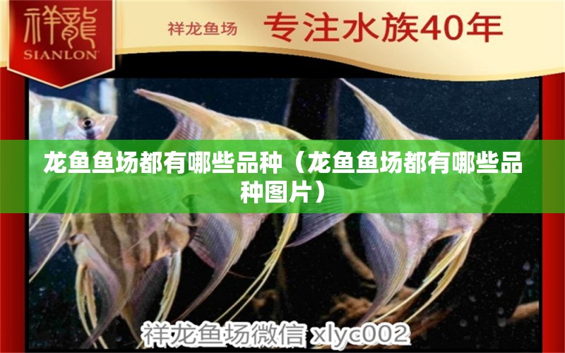 龍魚(yú)魚(yú)場(chǎng)都有哪些品種（龍魚(yú)魚(yú)場(chǎng)都有哪些品種圖片） 廣州龍魚(yú)批發(fā)市場(chǎng)