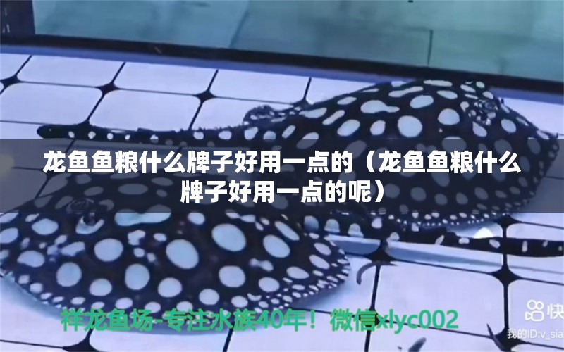 龍魚魚糧什么牌子好用一點的（龍魚魚糧什么牌子好用一點的呢） 廣州龍魚批發(fā)市場