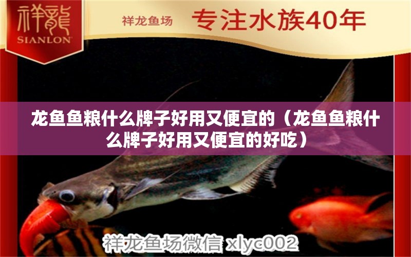 龍魚魚糧什么牌子好用又便宜的（龍魚魚糧什么牌子好用又便宜的好吃） 廣州龍魚批發(fā)市場