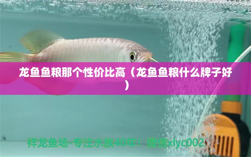 龍魚(yú)魚(yú)糧那個(gè)性?xún)r(jià)比高（龍魚(yú)魚(yú)糧什么牌子好） 龍魚(yú)疾病與治療