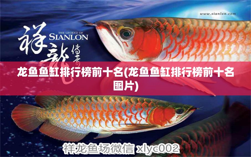 龍魚魚缸排行榜前十名(龍魚魚缸排行榜前十名圖片) 魟魚百科