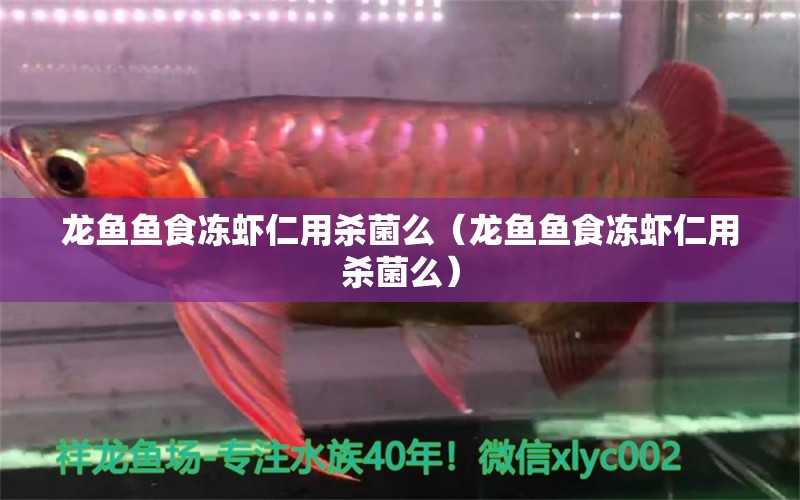 龍魚魚食凍蝦仁用殺菌么（龍魚魚食凍蝦仁用殺菌么） 龍魚疾病與治療