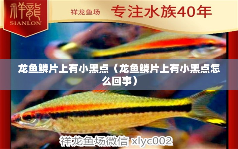 龍魚鱗片上有小黑點（龍魚鱗片上有小黑點怎么回事）