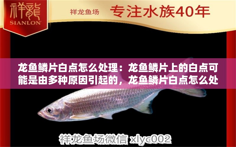 龍魚鱗片白點怎么處理：龍魚鱗片上的白點可能是由多種原因引起的，龍魚鱗片白點怎么處理