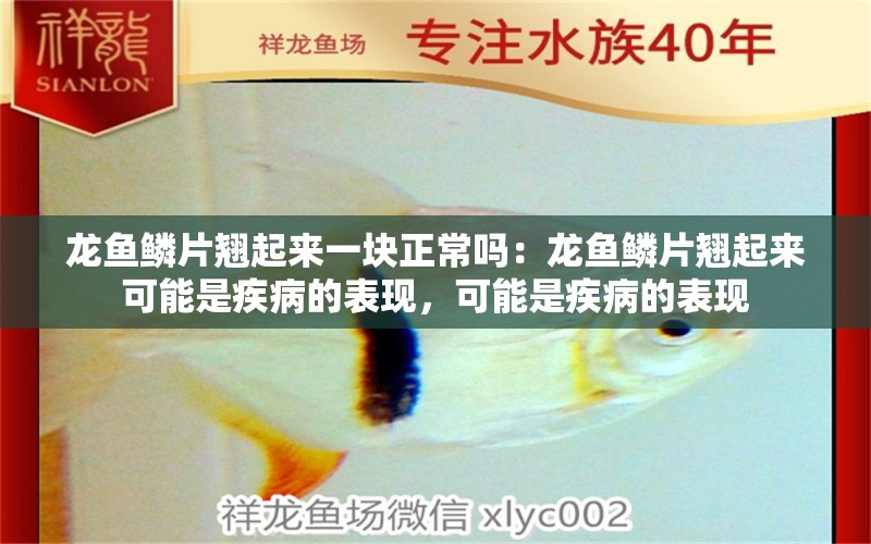 龍魚鱗片翹起來一塊正常嗎：龍魚鱗片翹起來可能是疾病的表現(xiàn)，可能是疾病的表現(xiàn) 龍魚百科 第2張