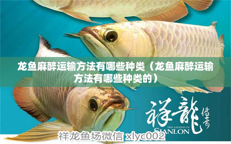 龍魚麻醉運(yùn)輸方法有哪些種類（龍魚麻醉運(yùn)輸方法有哪些種類的）