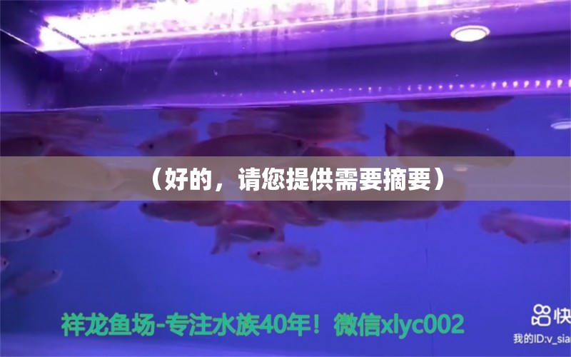 （好的，請(qǐng)您提供需要摘要） 觀賞魚論壇 第2張