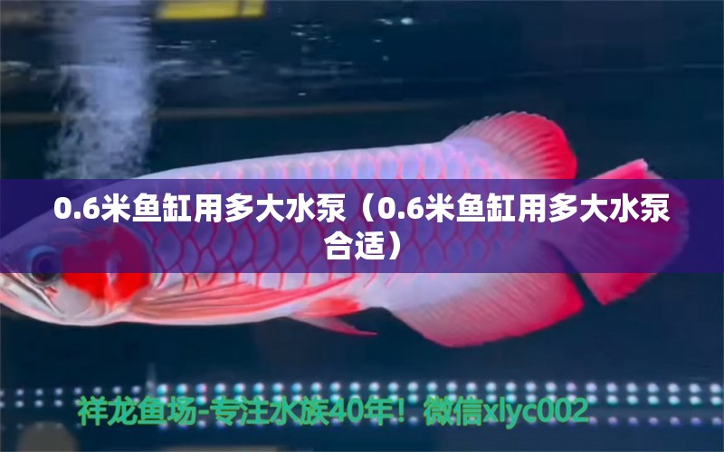 0.6米魚缸用多大水泵（0.6米魚缸用多大水泵合適）