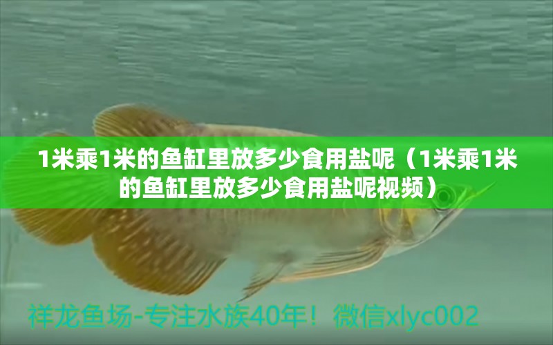 1米乘1米的魚缸里放多少食用鹽呢（1米乘1米的魚缸里放多少食用鹽呢視頻） 魚缸百科