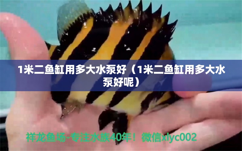 1米二魚缸用多大水泵好（1米二魚缸用多大水泵好呢）